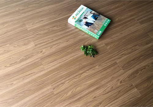Sàn gỗ Acacia DS508