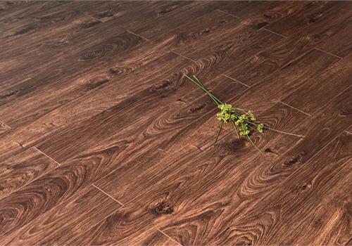 Sàn gỗ Acacia DS505